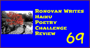 Ronovan Write Haiku Poetry Review